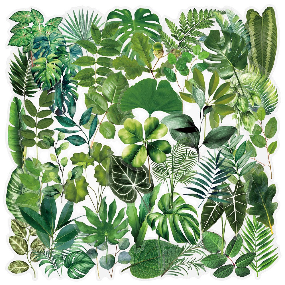 10/25/50pcs Transparent Green  - It Travel Accessories recension och pris